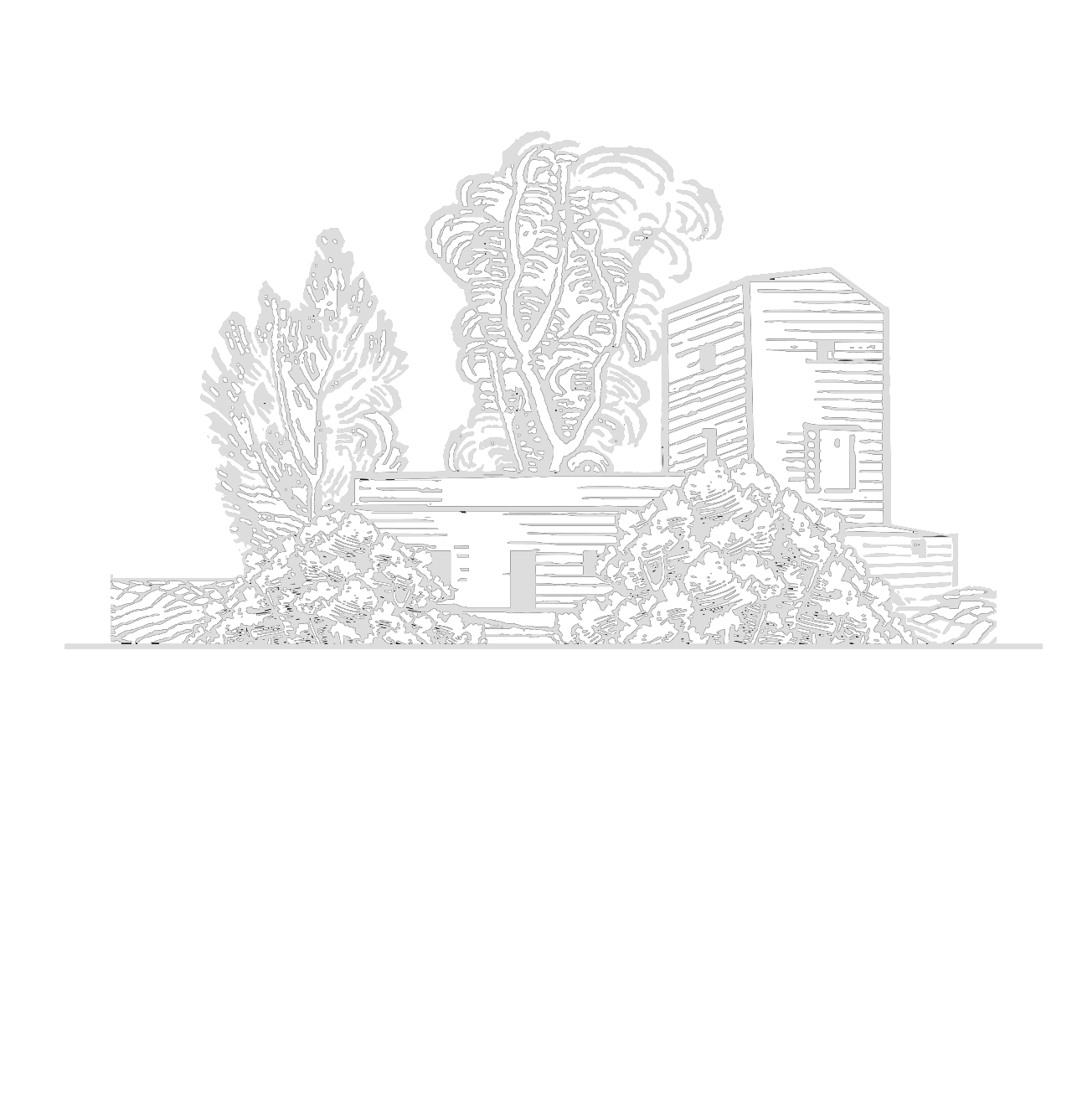 Vini Biologici Siciliani Feudo Del Balio